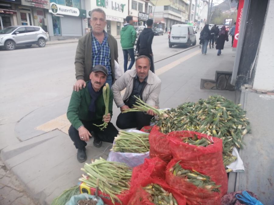 DAĞ MUZU “UÇKUN” TEZGAHLARA İNDİ