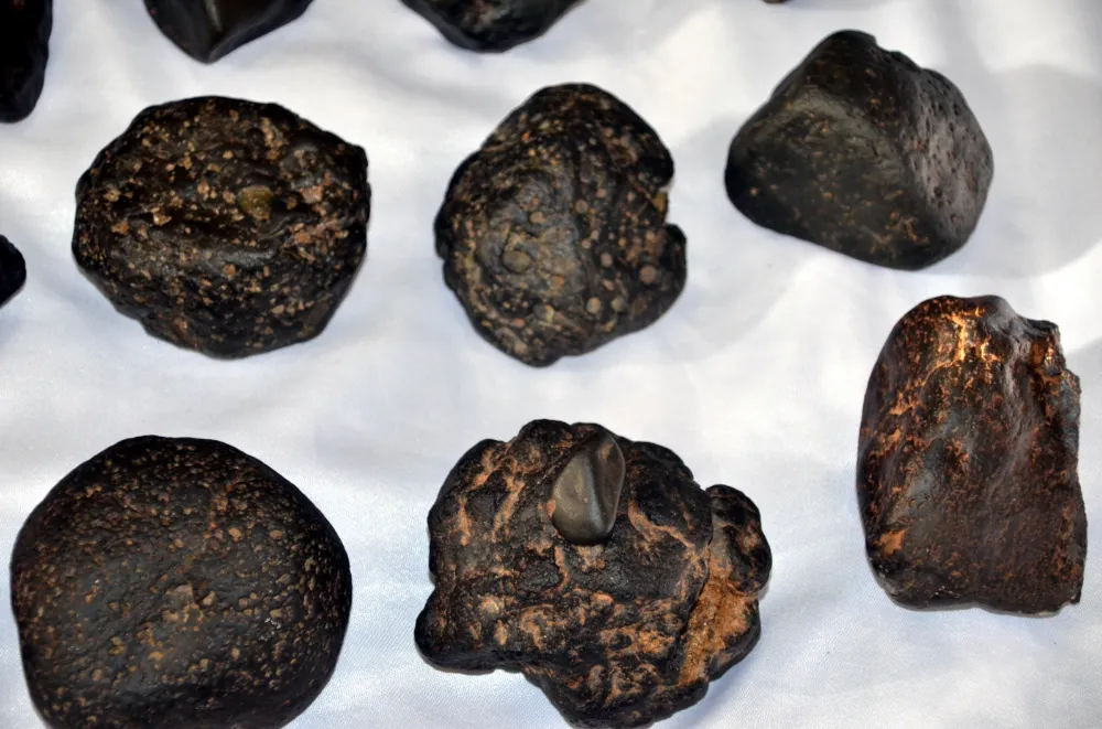 MANTAR ARARKEN GÖKTAŞI BULDULAR