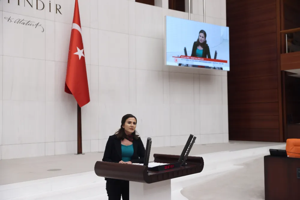 SÜMEYYE BOZ, 3 BAKANA SİYANÜRLE ALTIN ARAMAYI SORDU