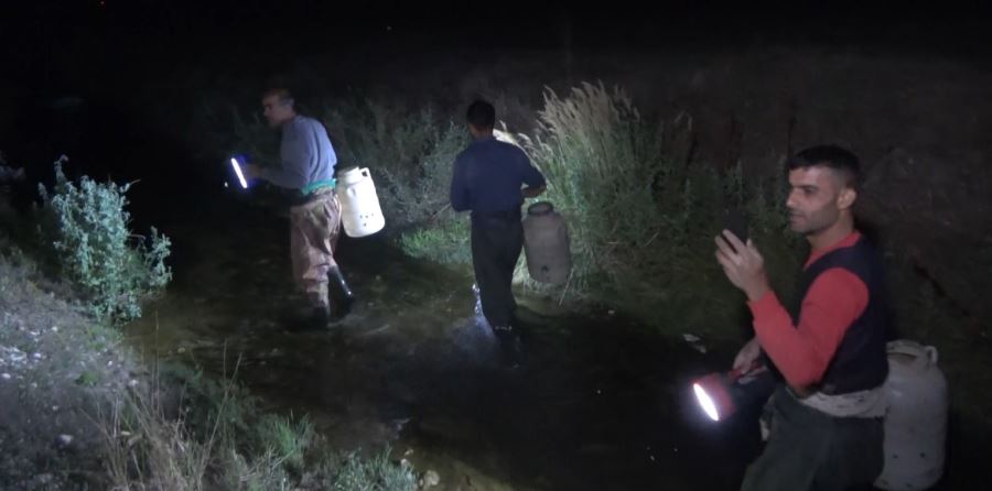KURBAĞA AVCILARININ GECE MESAİSİ