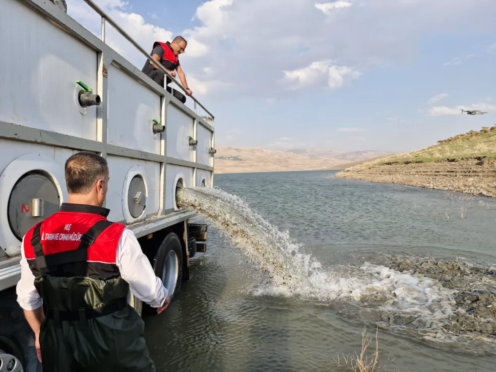 GÖL VE BARAJ GÖLETLERİNE 4 MİLYON YAVRU SAZAN BIRAKILDI