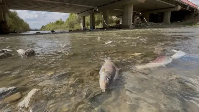 KARASU NEHRİ