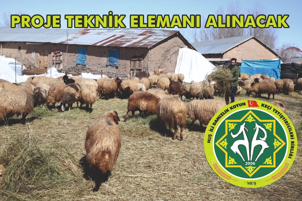 PROJE TEKNİK ELEMANI ALINACAK