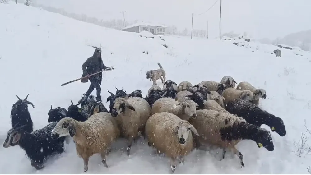 KAR YAĞIŞI ÇİFTÇİLERİN HAYATINI OLUMSUZ ETKİLEDİ