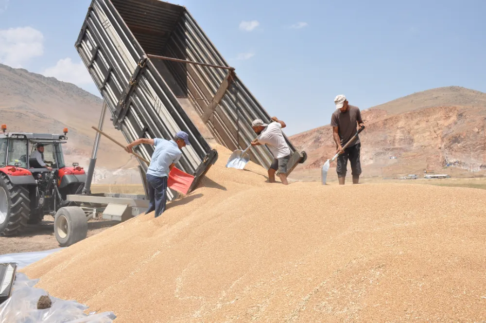 TMO’DA HUBUBAT ALIMINA BAŞLANDI