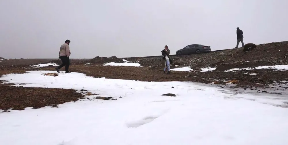 MUŞ