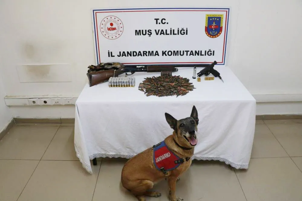 TEZEK YIĞINININ ALTINDAN SİLAH VE MÜHİMMAT ÇIKTI