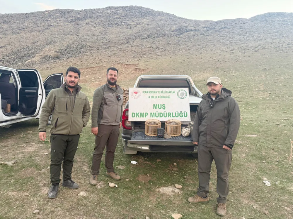 KAFES AVCILIĞI YAPAN ŞAHIS SUÇÜSTÜ YAKALANDI: 20 BİN TL CEZA KESİLDİ