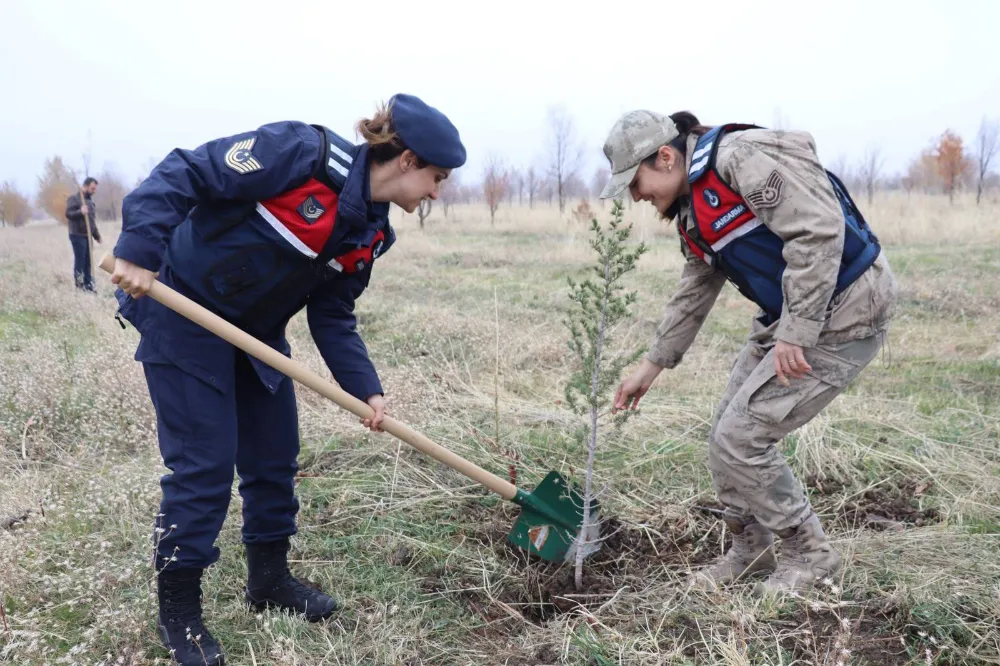 ŞİDDETE KARŞI STANTLAR AÇILDI, FİDANLAR TOPRAKLA BULUŞTU