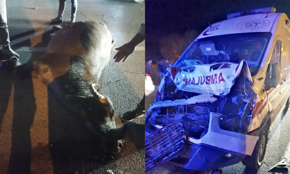 MUŞ’TAN VAN’A HASTA TAŞIYAN AMBULANS YOLDA MANDAYA ÇARPTI