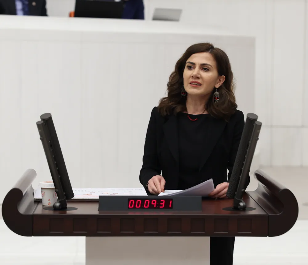 DEM PARTİLİ BOZ, GIDA ZEHİRLENMESİ İDDİASI VE RANDEVU KRİZİNİ MECLİS’E TAŞIDI