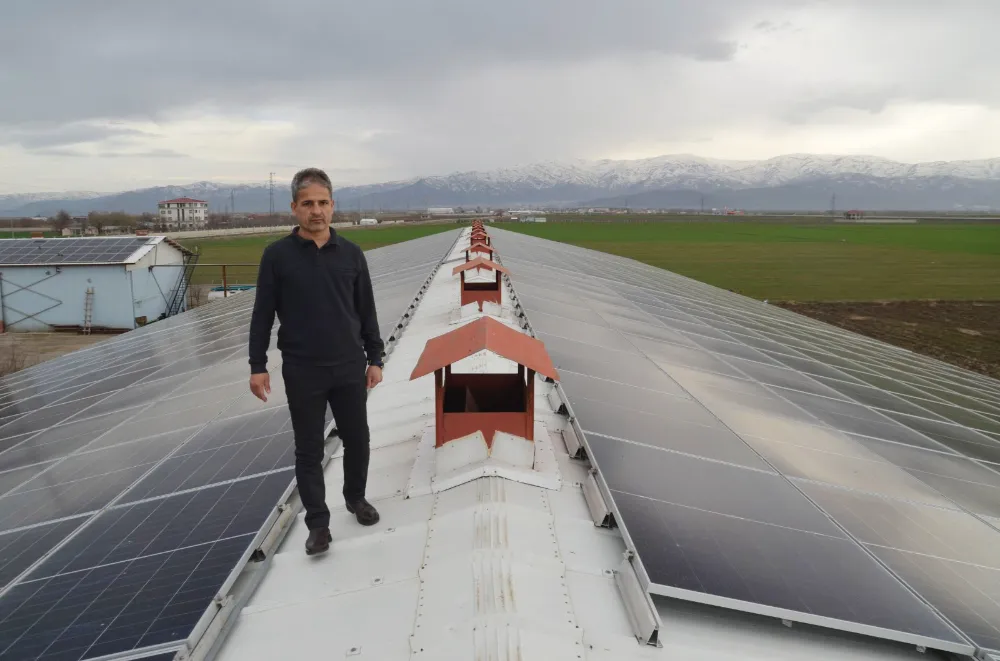 ENERJİ VE ET ÜRETİMİ HARMANLANAN ÇİFTLİK