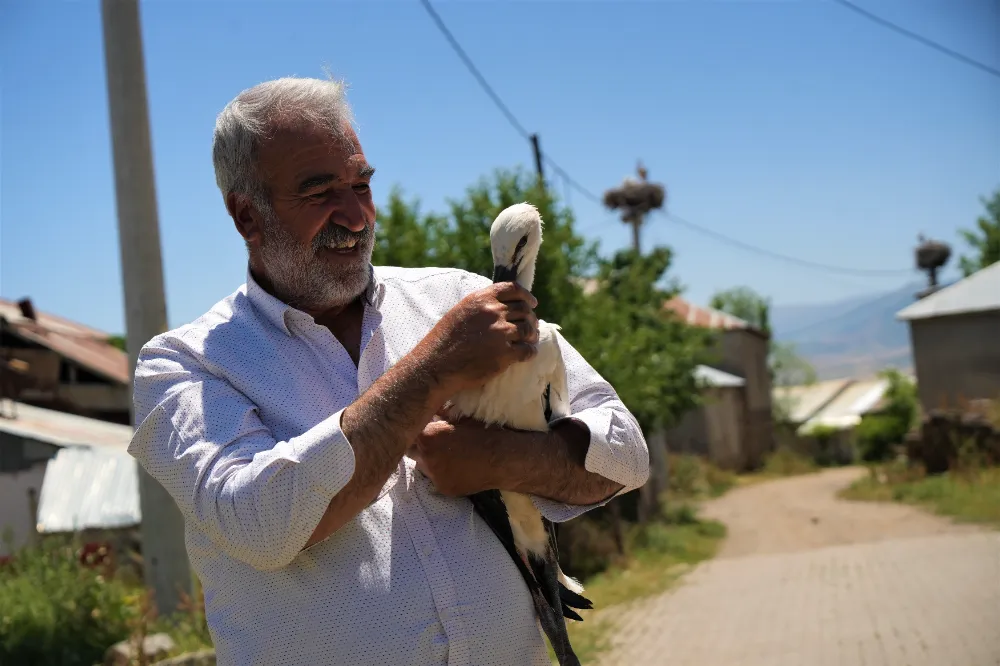 YUVADAN DÜŞEN LEYLEK YAVRUSU KORUMA ALTINA ALINDI