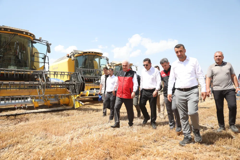 MUŞ OVASI