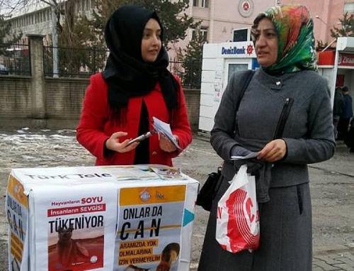SOKAK HAYVANLARI İÇİN STANT AÇTILAR